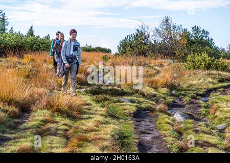 Wanderweg durch die Vogesen bei Plainfaing, Frankreich Stockfoto