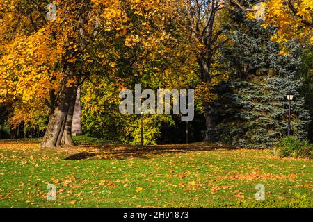 Bunte goldene Herbstlandschaft an einem sonnigen Tag Stockfoto