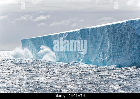 Großer Eisberg in Tabellenform, der zum Meer kalbt. Südpolarmeer, Antarktis, Antarktis Stockfoto