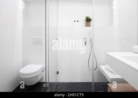 Badezimmer mit hängender Toilette, Regal mit Pflanzen- und Seifendosen mit schwarzem Schieferboden und weißem Waschbecken in der Ferienwohnung Stockfoto