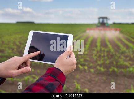 Nahaufnahme der Hände des Bauern, die die Tablette vor dem Traktor halten, der das Maisfeld erschütternd Stockfoto