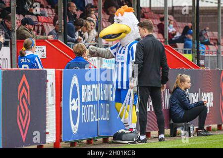 Crawley, Großbritannien. Dezember 2019. Maskottchen Brighton während des Super League Spiels der Frauen zwischen Brighton & Hove Albion und Tottenham Hotspur im People's Pension Stadium in Crawley. Kredit: SPP Sport Pressefoto. /Alamy Live News Stockfoto