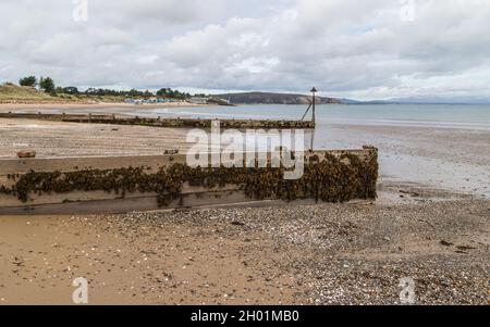 Hölzerne Groynes am Abersoch-Strand, aufgenommen im Oktober 2021 an der Küste von Nord-Wales. Stockfoto