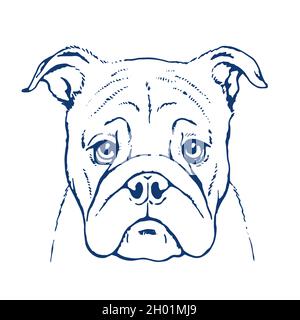 Gezeichnetes Porträt eines Moorhundes. Skizze mit Stift und Tinte auf weißem Hintergrund. Vektor isolierte Illustration eines Haustiers Stock Vektor