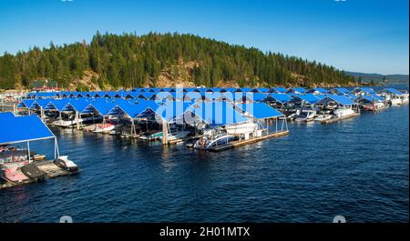 Blaue Abdeckungen Boardwalk Marina, Piers, Boote, Reflexion, Coeur d'Alene Lake, Idaho Stockfoto