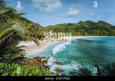 Mahe Island, Seychellen. Urlaub Berufung auf dem schönen exotischen Anse intendance tropischen Strand. Meereswelle rollt zum Sandstrand mit Kokosnuss Stockfoto