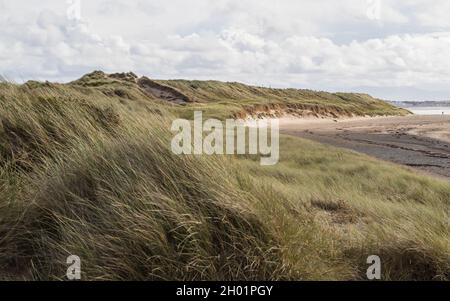 Sanddünen am Strand von Rhoseigr an der Anglesey-Küste in Nordwales. Stockfoto