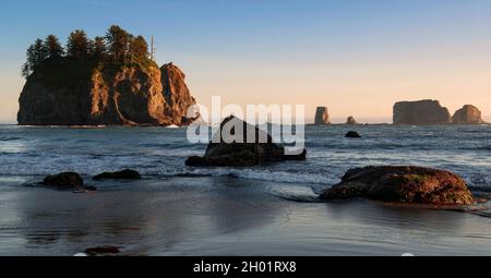 Blick auf Sea Stacks am Second Beach, La Push, Olympic National Park, Washington Stockfoto