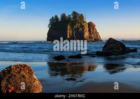 Blick auf Sea Stacks am Second Beach, La Push, Olympic National Park, Washington Stockfoto