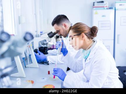 Team von erfahrenen Biologen, die im Labor an Proben arbeiten Stockfoto