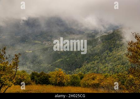 Blick vom Grand Ballon durch eine Wolkenlücke in den Vogesen. Bei Goldbach-Altenbach, Frankreich Stockfoto