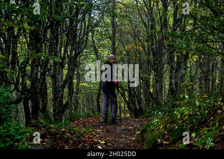 Wanderweg in den Vogesen bei Geishouse, Frankreich Stockfoto