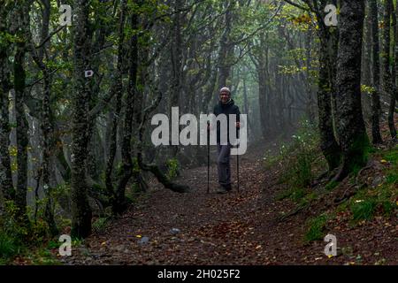 Wanderweg in den Vogesen bei Geishouse, Frankreich Stockfoto