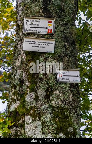 Wanderschild in den Vogesen bei Geishouse, Frankreich Stockfoto