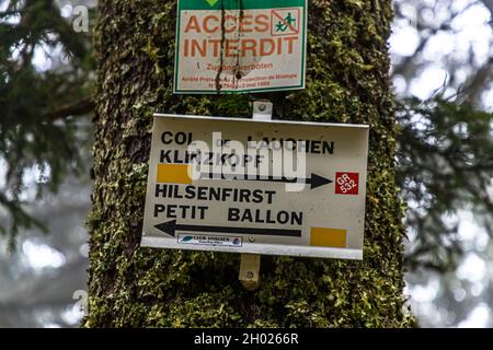 Wanderschild in den Vogesen bei Linthal, Frankreich Stockfoto