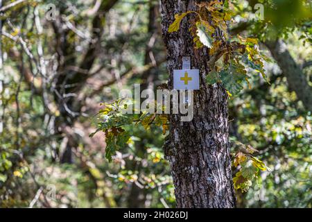 Wanderschild in den Vogesen bei Lautenbach, Frankreich Stockfoto