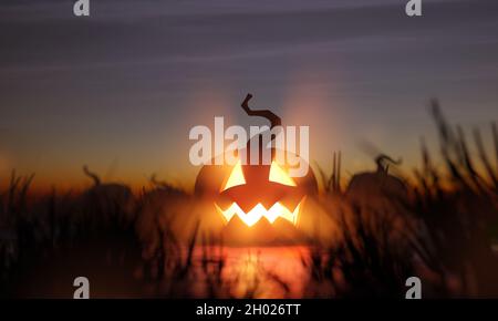 Eine leuchtende halloween Jack O Laterne in einem Kürbis Patch Feld in der Nacht. 3D-Illustration. Stockfoto