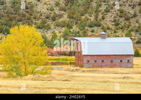 Alte rote Scheune im tiefen Creek Valley in der Nähe von townsend, montana Stockfoto