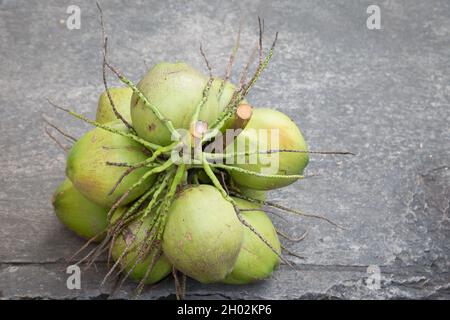 Kokospalme auf dem Zementboden im Hintergrund Stockfoto