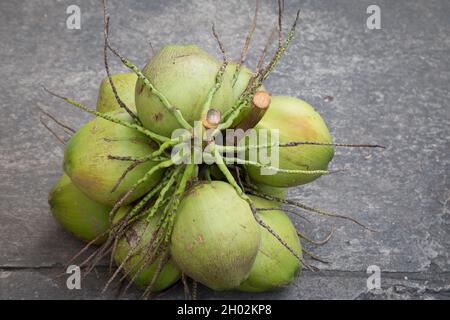 Kokospalme auf dem Zementboden im Hintergrund Stockfoto