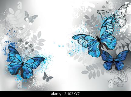 Komposition aus detaillierten blauen Morpho-Schmetterlingen, verziert mit blauen Farbtropfen mit Silhouette wilden Pflanzen auf grauem Hintergrund. Stock Vektor