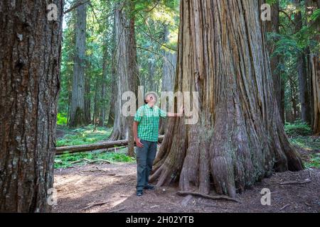 Wandern Mann in den Wald Stockfoto