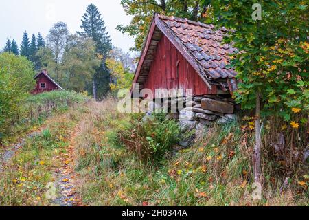 Unbefestigte Straße mit einem alten roten Schuppen in Herbstfarben Stockfoto