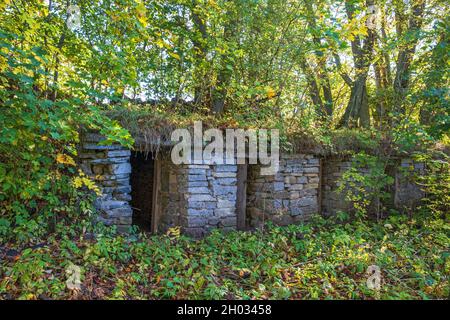 Altes Haus Ruine von Steinen in einem Wald Stockfoto