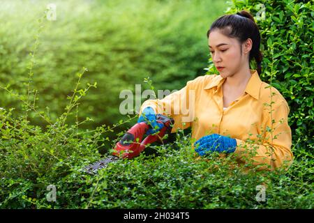 Junge Frau, die zu Hause im Garten eine kabellose elektrische Heckenschneide- und Schneideanlage verwendet Stockfoto