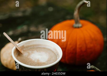 Nahaufnahme von Kaffee in Pappbecher mit Kürbissen im Hintergrund. Heißes Getränk. Herbstkomposition. Stockfoto