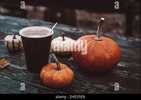 Herbstkomposition. Nahaufnahme von Kaffee in Pappbecher und kleinen Kürbissen auf Holztisch. Heißes Getränk. Stockfoto