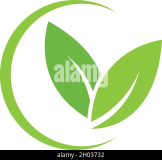 Die Logos der grünen Blatt ökologie Natur element Vektor Stock Vektor