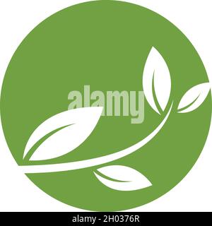 Die Logos der grünen Blatt ökologie Natur element Vektor Stock Vektor