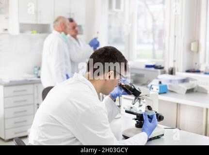 Reifer Biologe, der Proben mit Kollegen im Hintergrund im Labor mikroskopisch analysiert Stockfoto