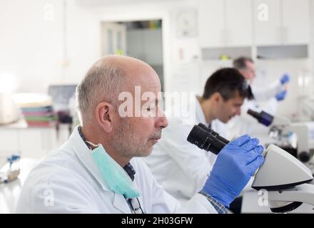 Team von erfahrenen Biologen, die an Mikroskopen im Labor arbeiten Stockfoto