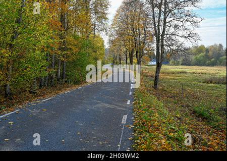 Landstraße im Herbst Landschaft Oktober Schweden Stockfoto