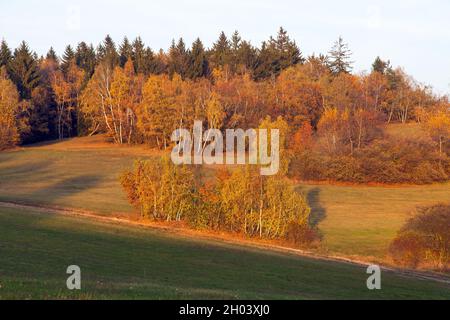 Autumny Landschaft aus Böhmisch-Mährischen Hochland - Tschechische Republik - Europa Stockfoto