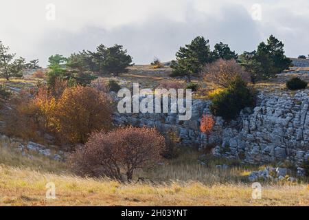 Herbstlandschaft Felsen Bäume. Eine Bergkette mit bunten bunten bunten Bäumen. Natürlicher Herbsthintergrund für Design. Mischwald im hellen sogar Stockfoto