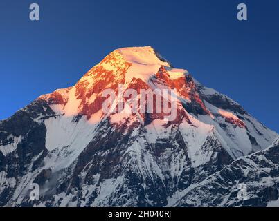 Mount Dhaulagiri, Abendansicht von Mount Dhaulagiri, Himalaya, Nepal Stockfoto