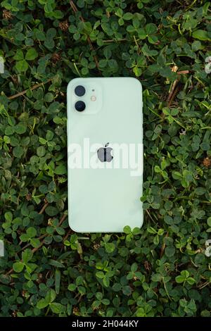 Grünes iPhone 12 auf einem Feld von Kleeblättern Stockfoto