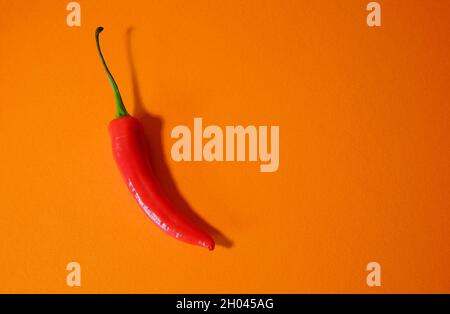 Rote scharfe Chilischote auf orangefarbenem Hintergrund Stockfoto