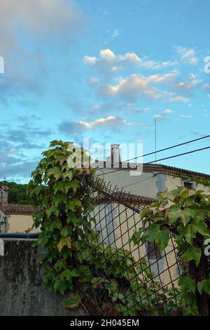 Im Vordergrund Eisenschleier mit Kletterpflanzen. Hinter dem großen Haus. Sonnenuntergang Himmel mit Wolken. Stockfoto