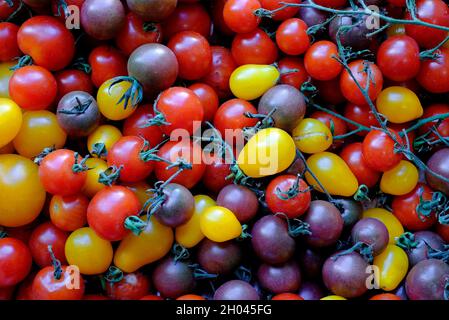 Auswahl an kleinen traditionellen Tomaten Stockfoto