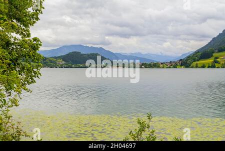 Landschaft rund um den Großen Alpsee, einem See in der Nähe von Immenstadt in Bayern, Deutschland Stockfoto