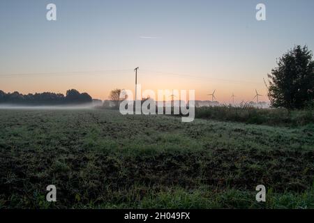 Am frühen Morgen in den Wiesen Stockfoto