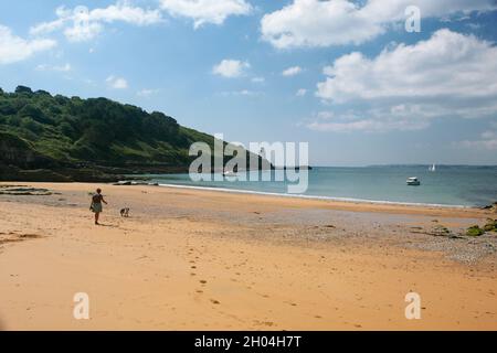 Frau und ihr Border Collie Hund am Great Molunan Beach, mit Falmouth Bay und St. Anthony's Head und Leuchtturm, darüber hinaus: Cornwall, Großbritannien Stockfoto