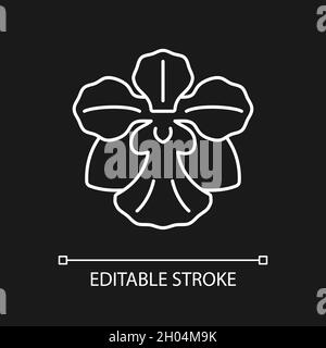 Vanda Miss Joaquim weiße lineare Ikone für dunkles Thema Stock Vektor