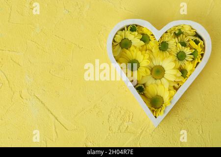 Herz mit Chrysanthemen auf gelbem strukturiertem Hintergrund. Stockfoto
