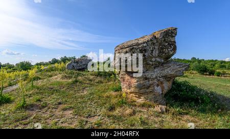 Die Dobrovan Steinpilze sind bizarre Felsformationen, die sich in der östlichen Stara Planina, etwa 10 km vom Dorf Sini Rid, Bulgarien, befinden Stockfoto