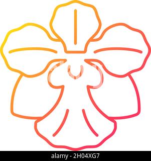 Vanda Miss Joaquim Gradient Linear Vector Icon Stock Vektor